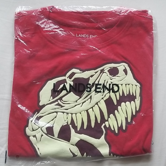 2/25!!! Boys T-rex Skull Glow in the Dark Tshirt - Picture 1 of 2